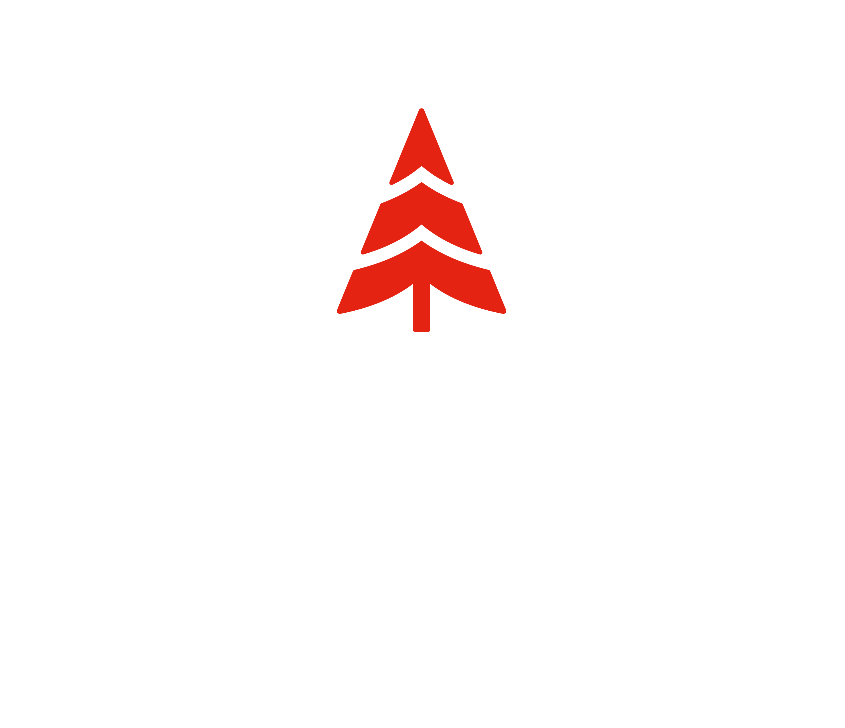Liikahus_logo