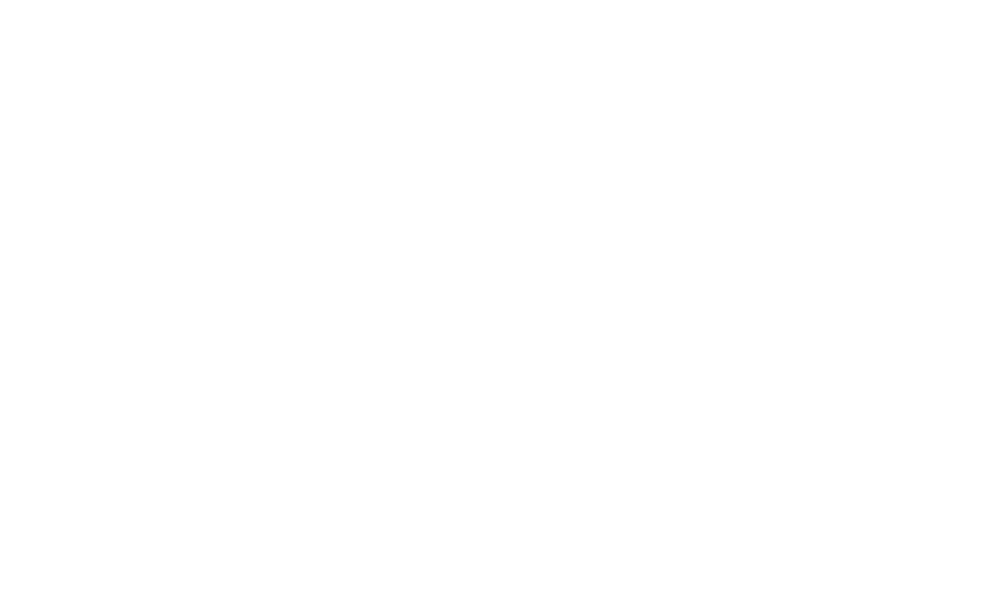 ponnahus_logo